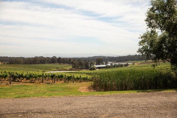 Audrey Wilkinson Vineyard Konuk evi Pokolbin Dış mekan fotoğraf