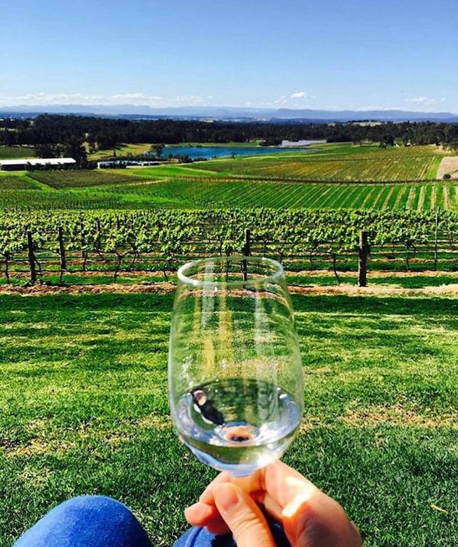 Audrey Wilkinson Vineyard Konuk evi Pokolbin Dış mekan fotoğraf