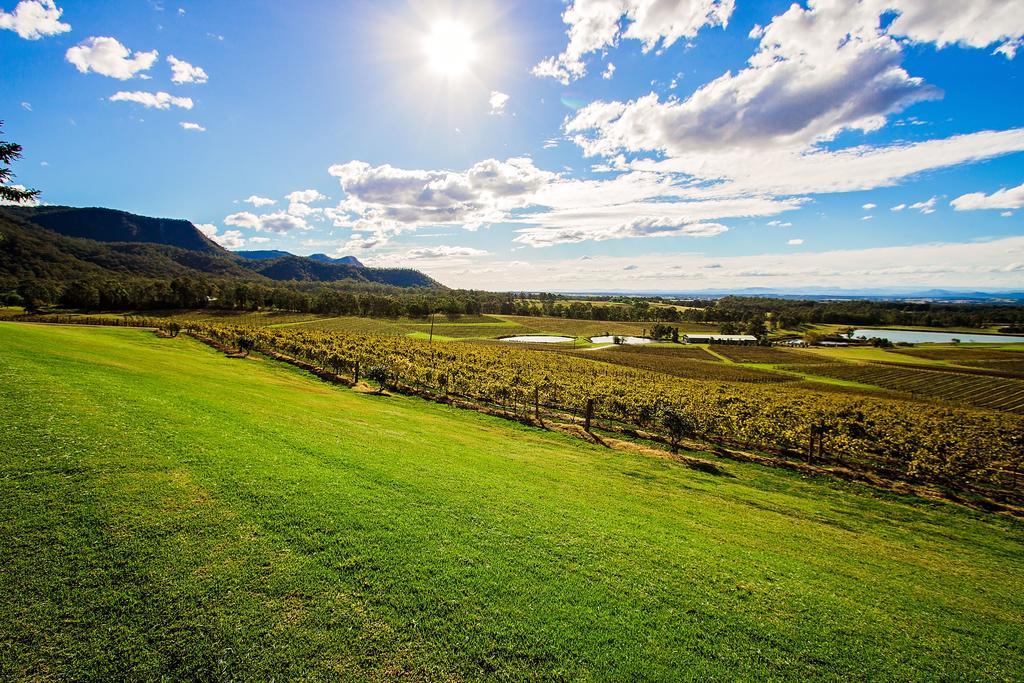 Audrey Wilkinson Vineyard Konuk evi Pokolbin Dış mekan fotoğraf